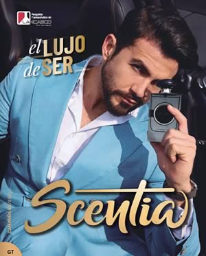 Catálogo SCENTIA Campaña 6 2025